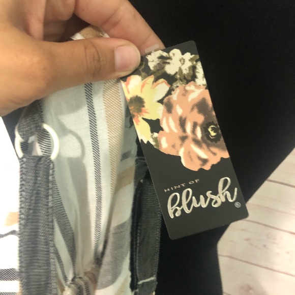 NWT Blush Button Down Striped Sundress - Picture 7 of 10